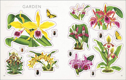 THE BOTANIST'S STICKER ANTHOLOGY (1,000+ VINTAGE STICKERS) - DK