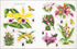 THE BOTANIST'S STICKER ANTHOLOGY (1,000+ VINTAGE STICKERS) - DK
