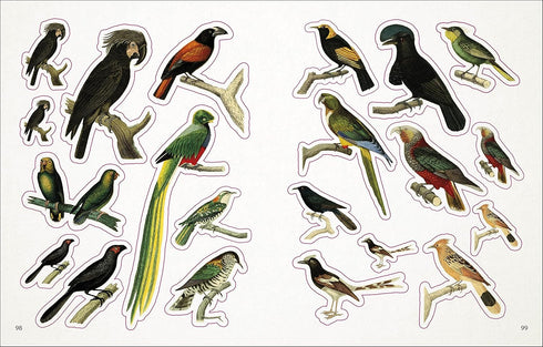 BEES, BIRDS & BUTTERFLIES STICKER ANTHOLOGY (1,000+ VINTAGE STICKERS) - DK