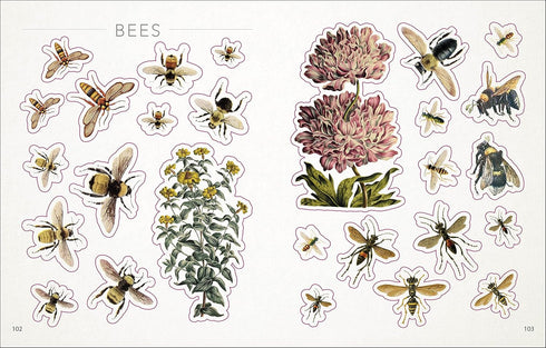 BEES, BIRDS & BUTTERFLIES STICKER ANTHOLOGY (1,000+ VINTAGE STICKERS) - DK