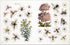 BEES, BIRDS & BUTTERFLIES STICKER ANTHOLOGY (1,000+ VINTAGE STICKERS) - DK