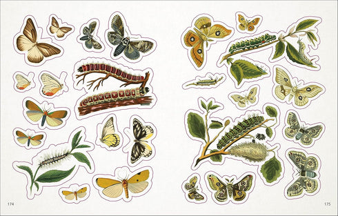BEES, BIRDS & BUTTERFLIES STICKER ANTHOLOGY (1,000+ VINTAGE STICKERS) - DK