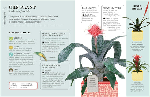 HOW NOT TO KILL YOUR HOUSEPLANT NEW EDITION - PEERLESS. VERONICA
