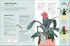 HOW NOT TO KILL YOUR HOUSEPLANT NEW EDITION - PEERLESS. VERONICA