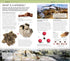 (Smithsonian) Natrue Guide: Rocks & Minerals by Dk