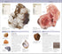 (Smithsonian) Natrue Guide: Rocks & Minerals by Dk