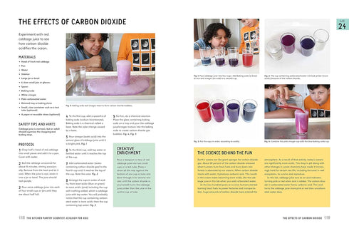 THE KITCHEN PANTRY SCIENTIST ECOLOGY FOR KIDS - HEINECKE. LIZ LEE