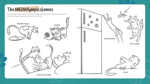 A CAT LOVER'S ACTIVITY BOOK - HASTINGS. RACHEL