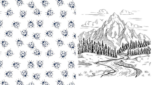 BEAUTIFUL NATURE COLORING BOOK: CELEBRATE THE NATURAL WORLD - CHARTWELL BOOKS