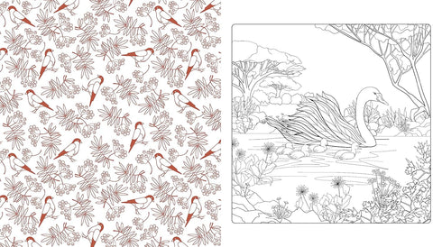 BEAUTIFUL NATURE COLORING BOOK: CELEBRATE THE NATURAL WORLD - CHARTWELL BOOKS