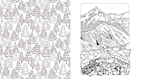 BEAUTIFUL NATURE COLORING BOOK: CELEBRATE THE NATURAL WORLD - CHARTWELL BOOKS