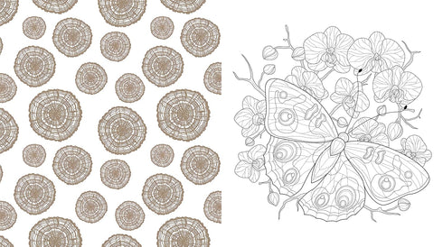 BEAUTIFUL NATURE COLORING BOOK: CELEBRATE THE NATURAL WORLD - CHARTWELL BOOKS