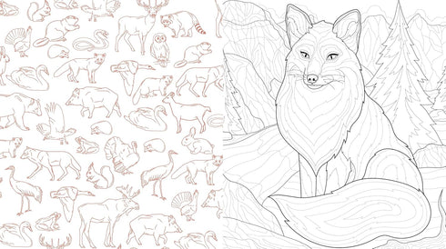 MOUNTAINS & WILDERNESS COLORING BOOK - EDITORS OF CHARTWELL BOOKS