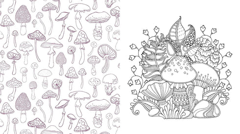 TWILIGHT MUSHROOMS COLORING BOOK - CHARTWELL BOOKS
