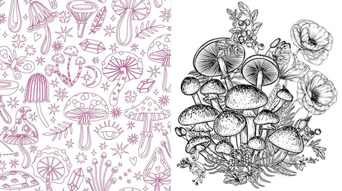 TWILIGHT MUSHROOMS COLORING BOOK - CHARTWELL BOOKS