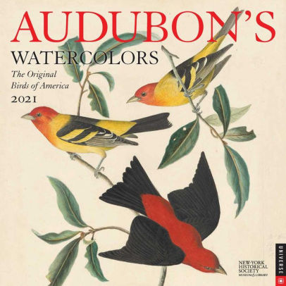 AUDUBON'S WATERCOLORS 2021 WALL CALENDAR THE ORIGI