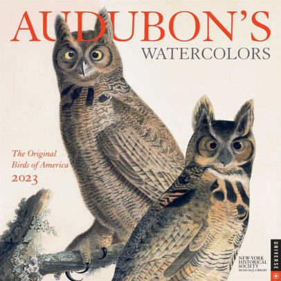 AUDUBONS WATERCOLORS 2023 WALL CALENDAR - ANDREWS MCMEEL