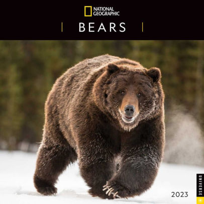 BEARS 2023 WALL CALENDAR NAT GEO - ANDREWS MCMEEL