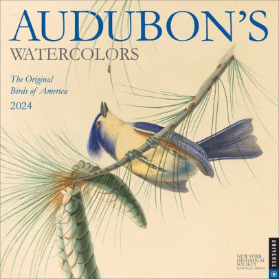 AUDUBON'S WATERCOLORS 2024 WALL CALENDAR - HISTORICAL SOCIETY. THE NEW YORK