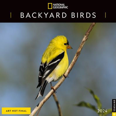 NATIONAL GEOGRAPHIC: BACKYARD BIRDS 2024 WALL CALENDAR - NATIONAL GEOGRAPHIC