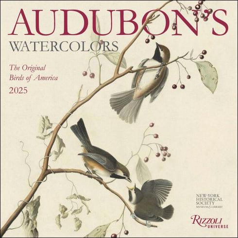 AUDUBON'S WATERCOLORS 2025 WALL CALENDAR