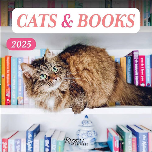 CATS & BOOKS 2025 WALL CALENDAR