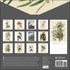 AUDUBON’S WATERCOLORS 2026 WALL CALENDAR