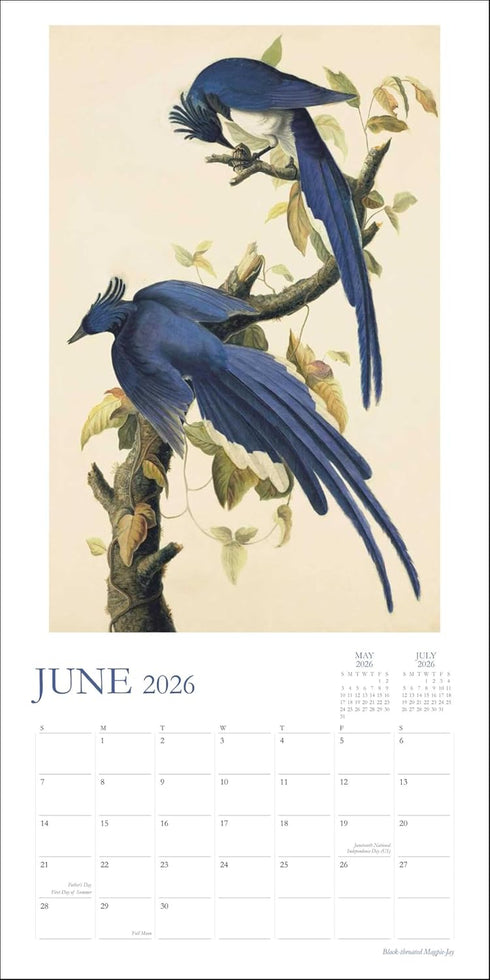 AUDUBON’S WATERCOLORS 2026 WALL CALENDAR
