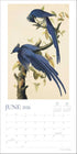 AUDUBON’S WATERCOLORS 2026 WALL CALENDAR