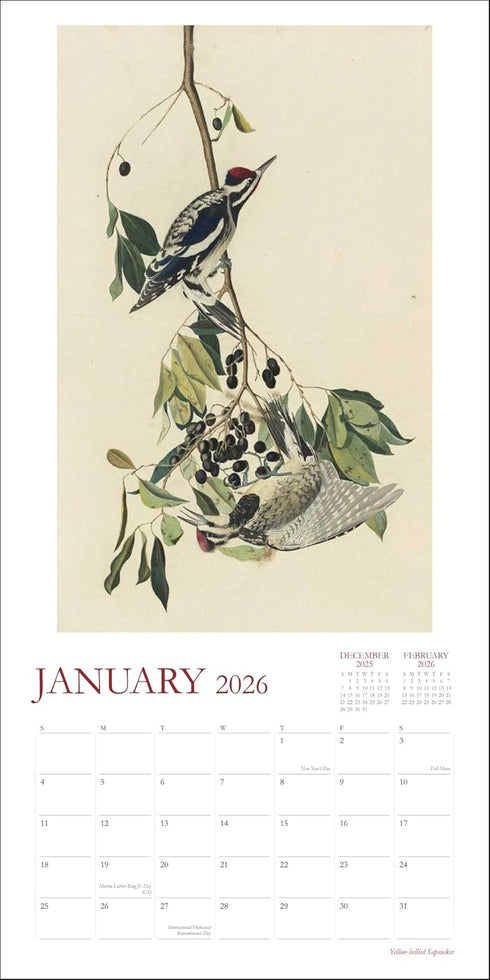 AUDUBON’S WATERCOLORS 2026 WALL CALENDAR