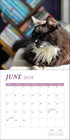 CATS AND BOOKS 2026 WALL CALENDAR