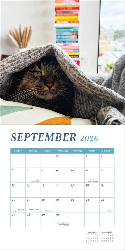 CATS AND BOOKS 2026 WALL CALENDAR