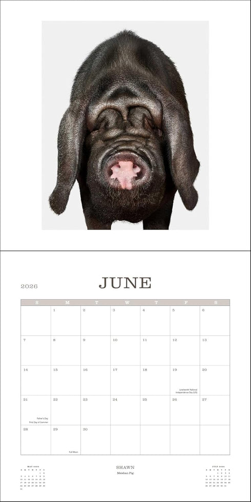 FARM LIFE 2026 WALL CALENDAR