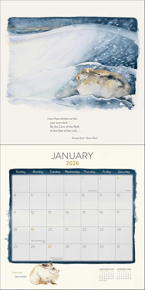 LOST SPELLS 2026 WALL CALENDAR