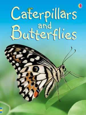 CATERPILLARS AND BUTTER?IES (BEGINNERS) - TURNBULL. STEPHANIE