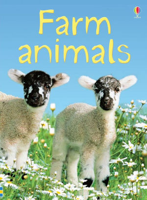 FARM ANIMALS (BEGINNERS) - DAYNES. KATIE