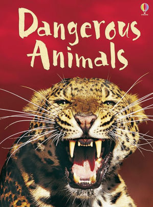 DANGEROUS ANIMALS (BEGINNERS) - GILPIN. REBECCA