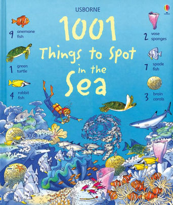 1001 THINGS TO SPOT IN THE SEA - DAYNES. KATIE