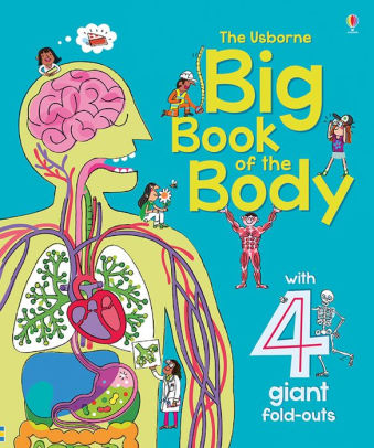 BIG BOOK OF THE BODY (IR) - LACEY. MINNA