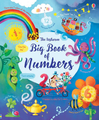 BIG BOOK OF NUMBERS - BROOKS. FELICITY
