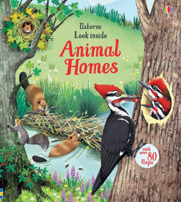 LOOK INSIDE ANIMAL HOMES - BONE. EMILY