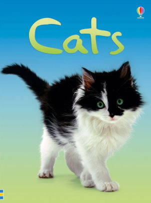 CATS (BEGINNERS) - MILBOURNE. ANNA