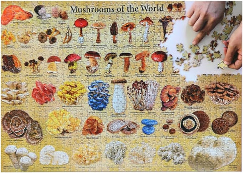 MUSHROOMS OF THE WORLD 1000 PIECE JIGSAW PUZZLE - TUTTLE