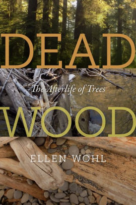 DEAD WOOD: THE AFTERLIFE OF TREES - WOHL, ELLEN