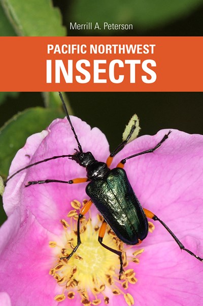 PACIFIC NORTHWEST INSECTS - PETERSON. MERRILL A.