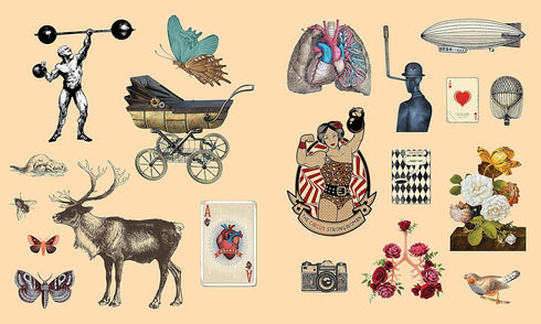 STICKER STUDIO: ARCANA: A STICKER GALLERY OF VINTAGE EPHEMERA - STANDISH. CHLOE