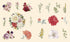 STICKER STUDIO: FLORA: A STICKER GALLERY OF BEAUTIFUL BLOOMS - STANDISH. CHLOE