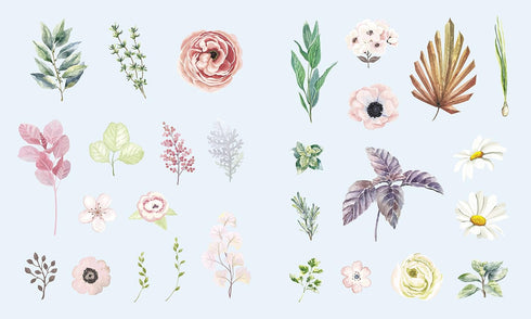 STICKER STUDIO: FLORA: A STICKER GALLERY OF BEAUTIFUL BLOOMS - STANDISH. CHLOE