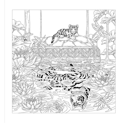 MYTHOGRAPHIC COLOR AND DISCOVER: MAGICAL EARTH - CATIMBANG. JOSEPH