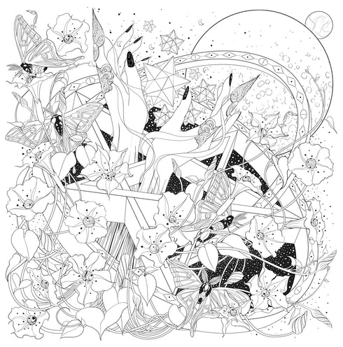 MYTHOGRAPHIC COLOR AND DISCOVER: MAGICK APOTHECARY - CARROLL. CHELLIE